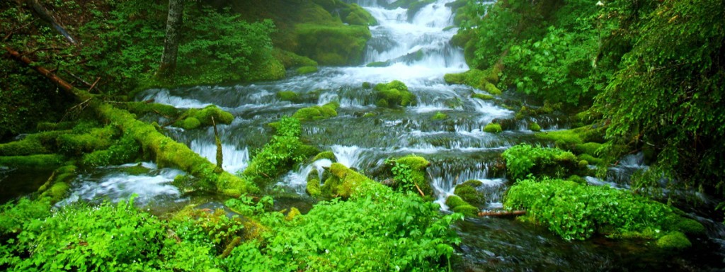 CDS Stormwater Treatment – Echelon Environmental