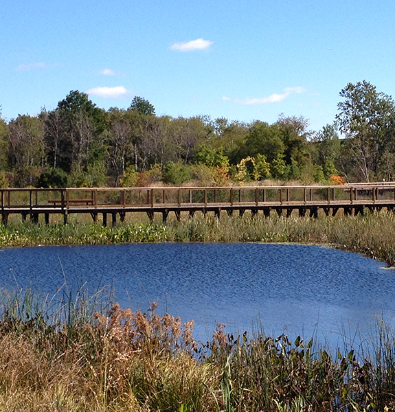 CDS Stormwater Treatment – Echelon Environmental