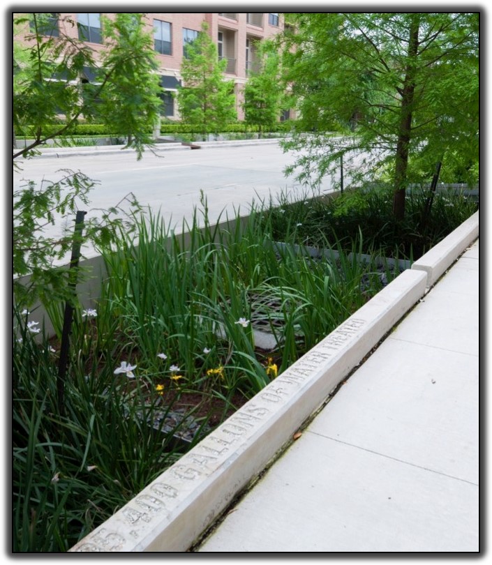 Echelon_Stormwater_Biofltration_1