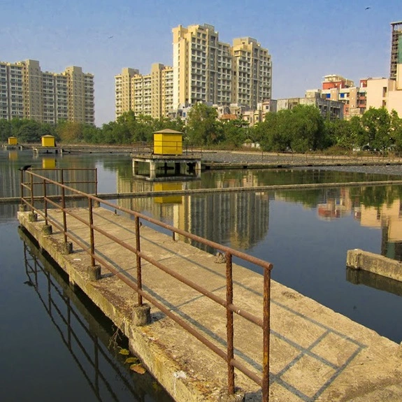 bg_image